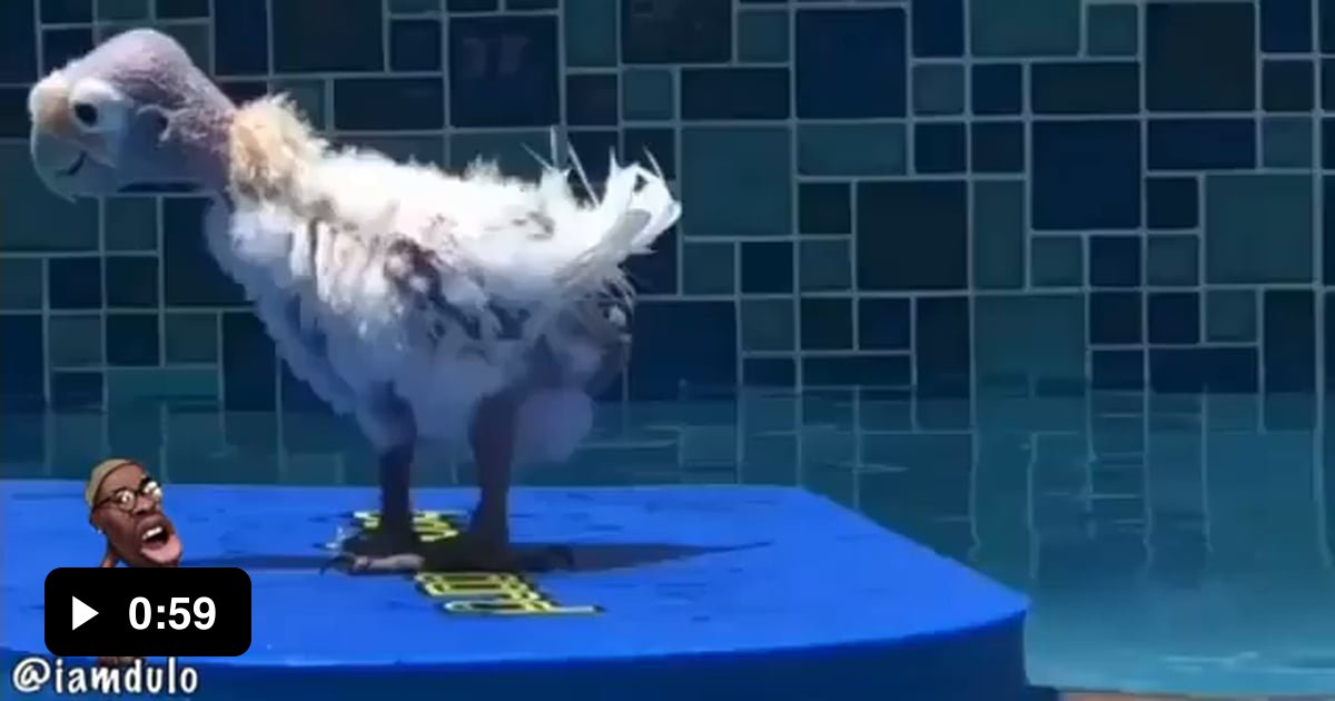 Floatation Device 9GAG