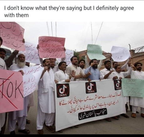 I Know It S Old But I Agree Tiktok Is A Disease And Has To Be