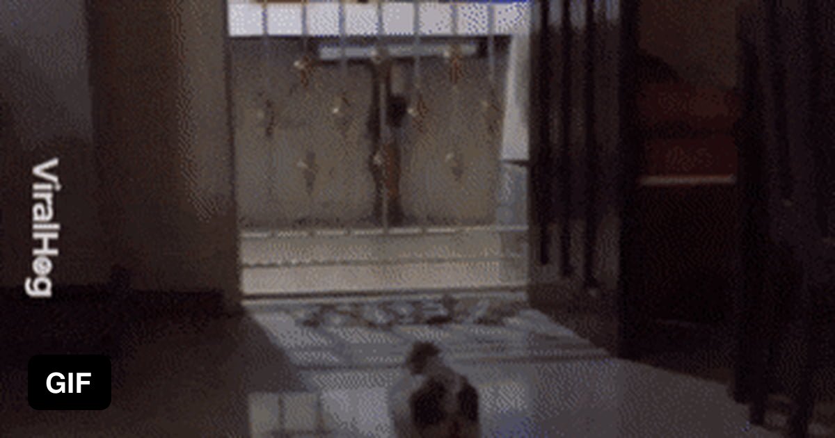 It gets better and better - 9GAG