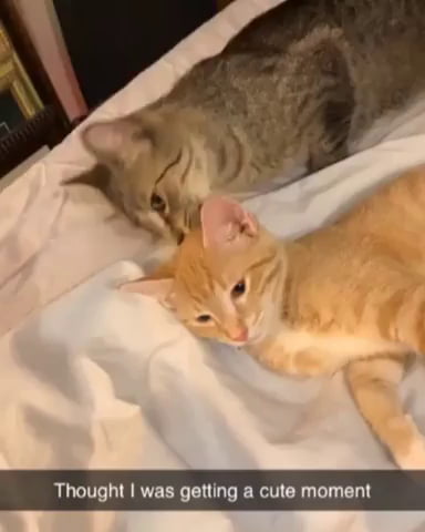 Hugs
