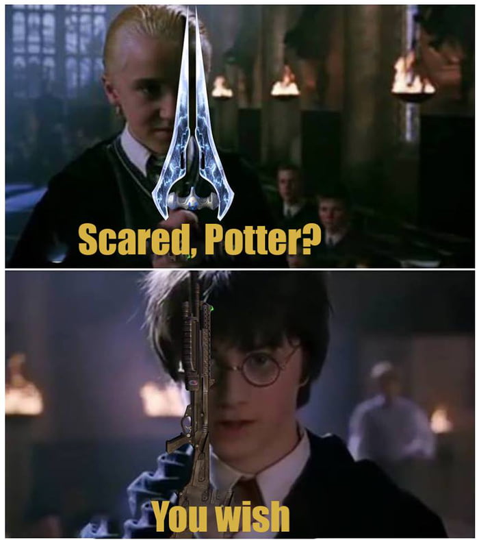 Scared на английском. Scared Potter. Scared Potter you Wish. Which Potter you today. Scared Potter перевод на русский.