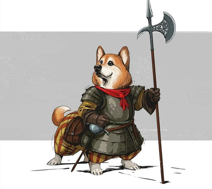 Corgi Warrior - 9GAG