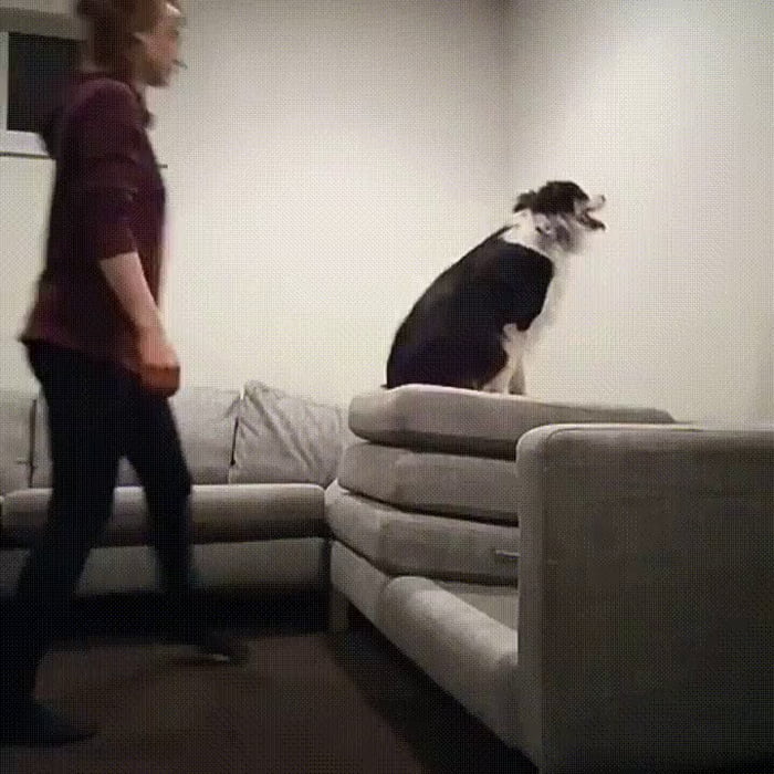Trust Fall On A Higher Level 9GAG