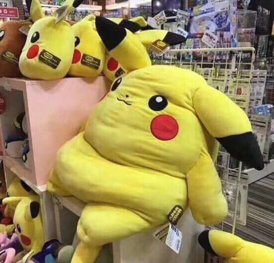 mocchi mocchi pikachu fat