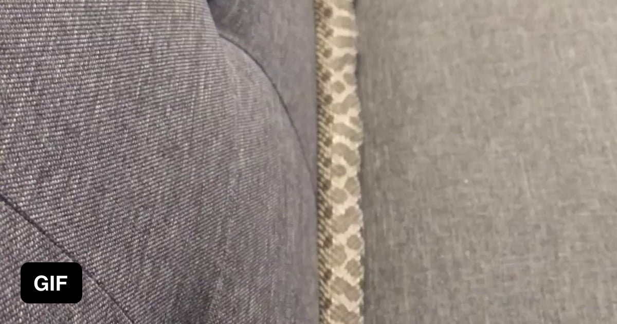 Concertina is a movement pattern used by snakes in narrow