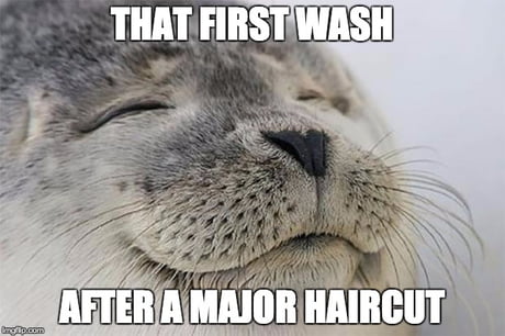Thick Hair Problems 9gag
