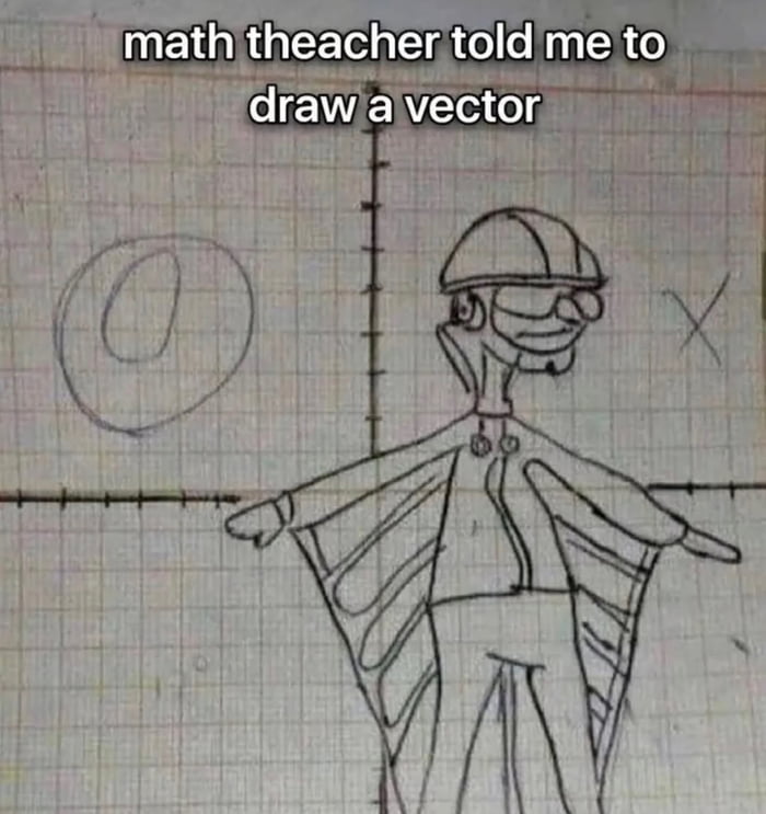 This is what my math teacher meant by 'draw a vector' - 9GAG