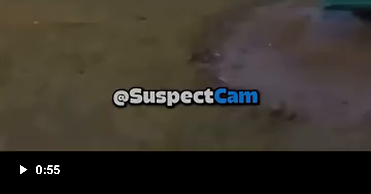 A police officer's quick thinking saves two dogs from a frozen pond ...