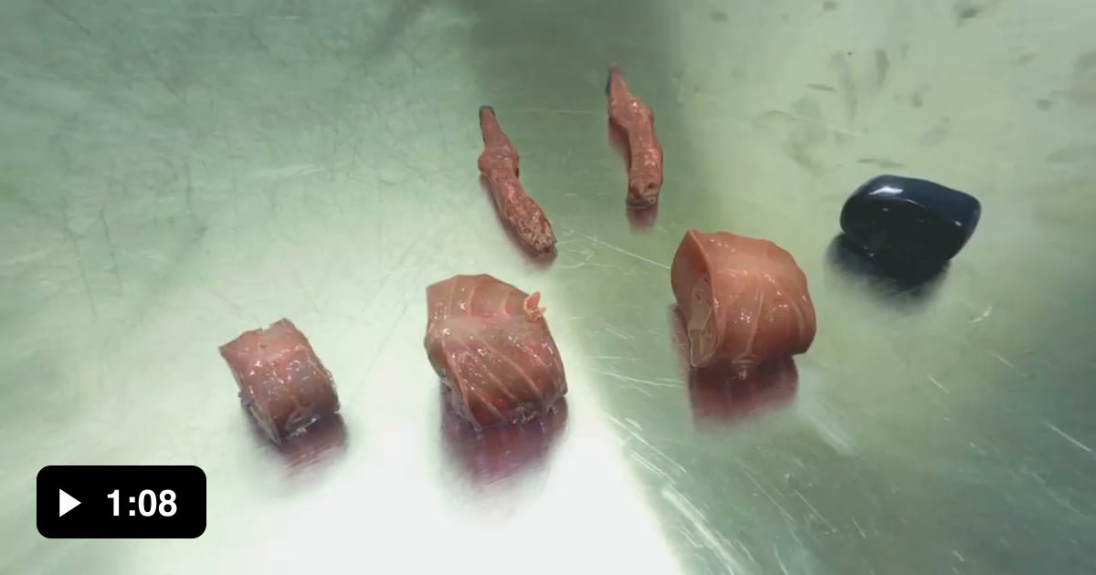 The Modular Body is an online science fiction story about the creation ...