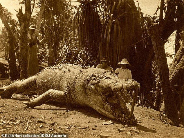 The Biggest Crocodile Ever Found At M Ft Shot By A Hunter In