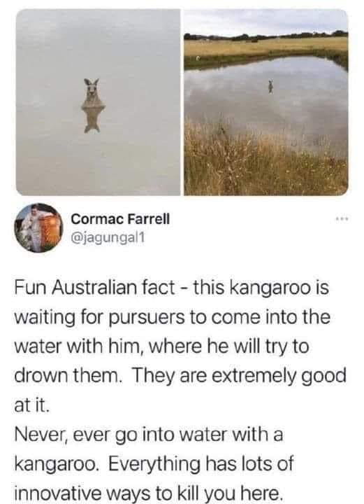 bloody-australia-9gag