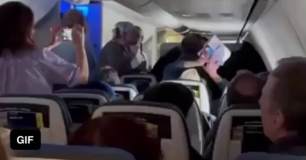 Cat On Flight Gets Out Of Control, Bites And Scratches Passengers 