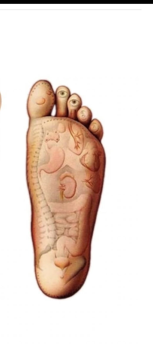 Foot Reflexology Real Or Fake