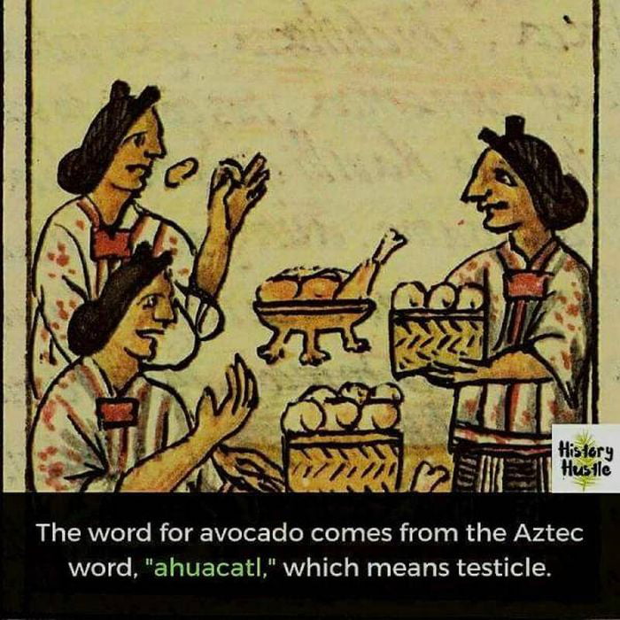 Family jewels,gonads,nuts,balls,cobblers,goolies,cajones,brass clankers