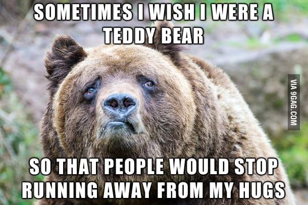 Depression Bear - 9GAG