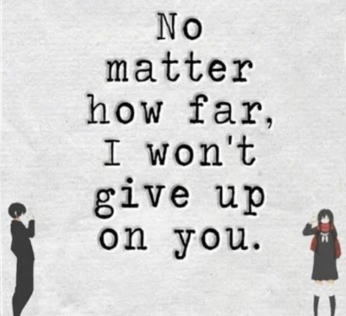 Given up on love. Quote Life Love. You don't matter give up. Love never give up. Don't give up no no no.