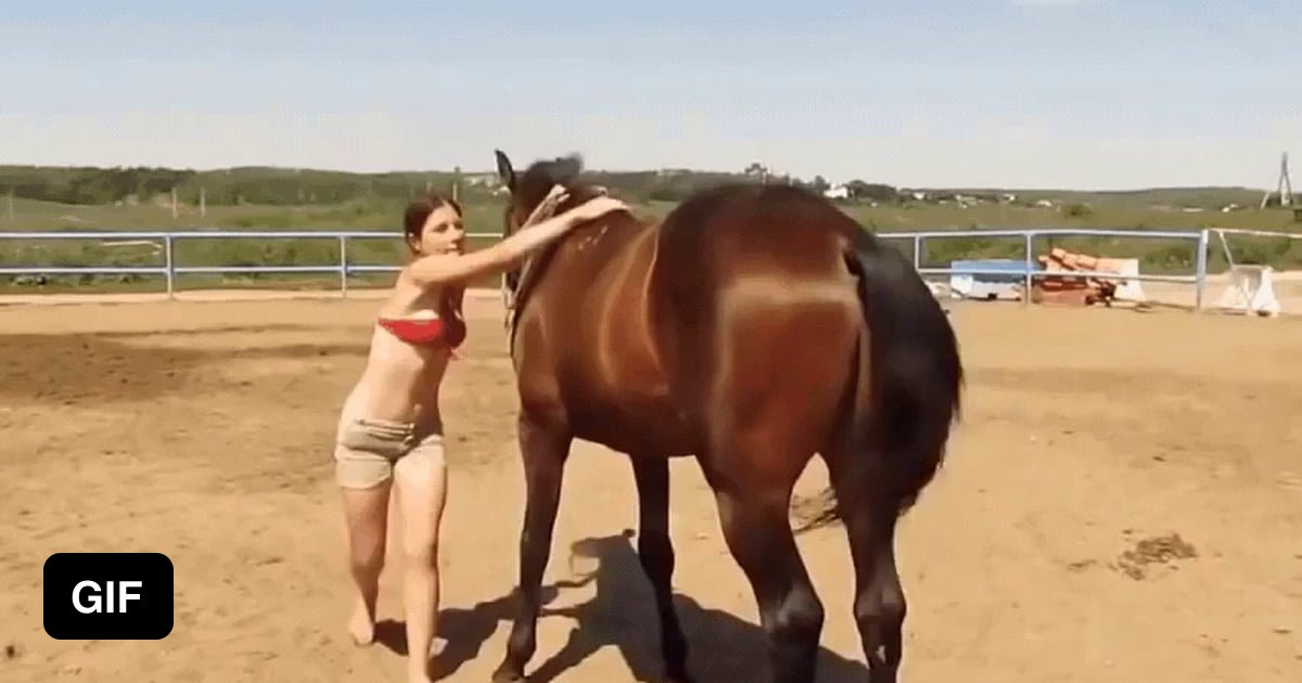 невеста часто стала уходить в конюшню установив. девочка и лошадь в деревне. женщина на лошади. фотосессия в конюшне девушка. девушка в конюшне.