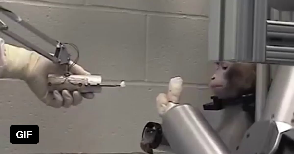 Monkey controlling a robotic arm through sensors attached to it's brain ...