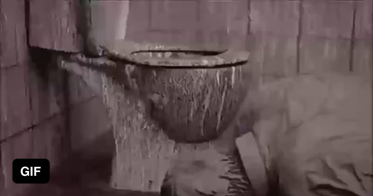 The poop vacuum cleaner 9GAG