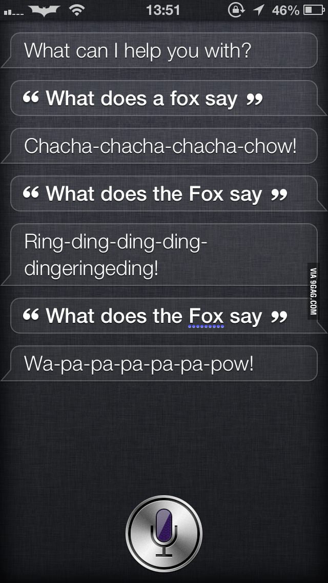 siri-what-does-the-fox-say-9gag