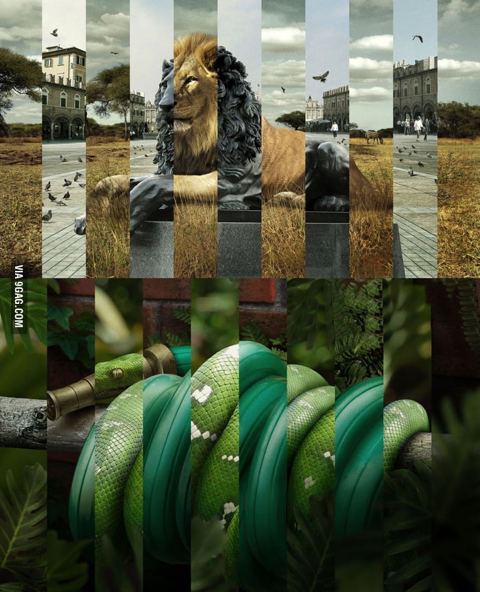 Inanimate objects crossed with real life - 9GAG