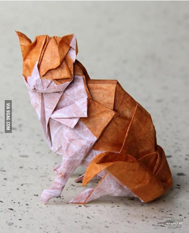 Origami cat 9GAG