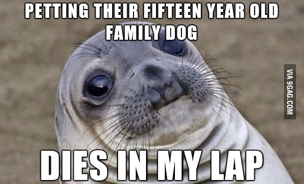 Went To A New Friend s House For The First Time 9GAG