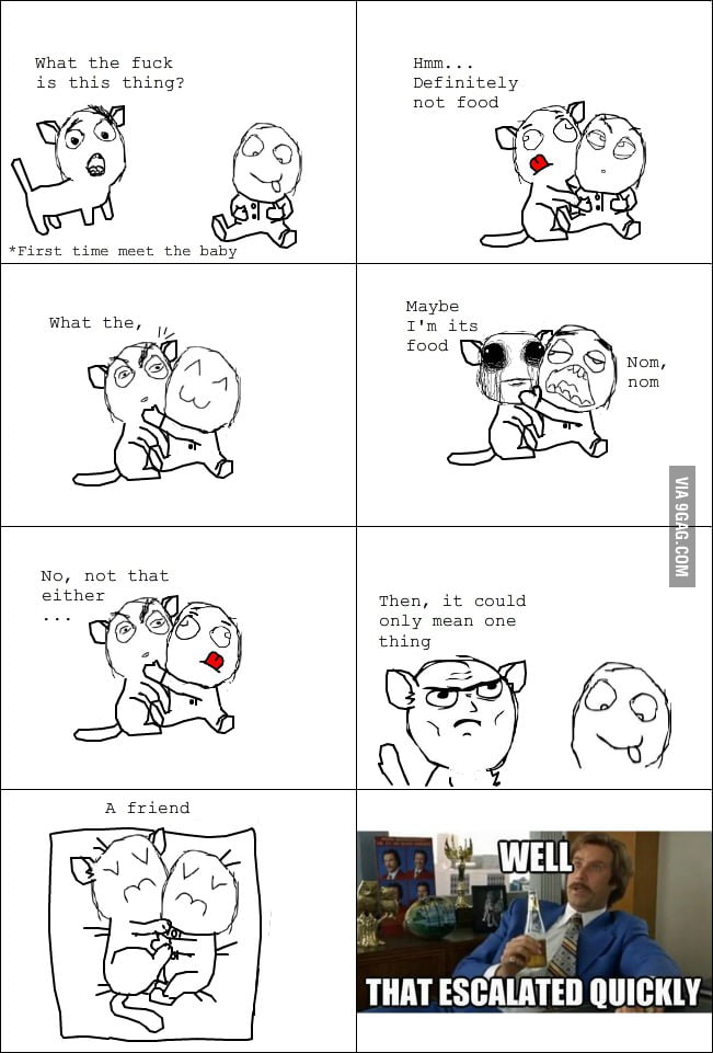 Cat and Baby Logic - 9GAG