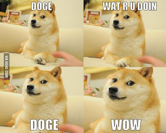 Sthap doge wow - 9GAG