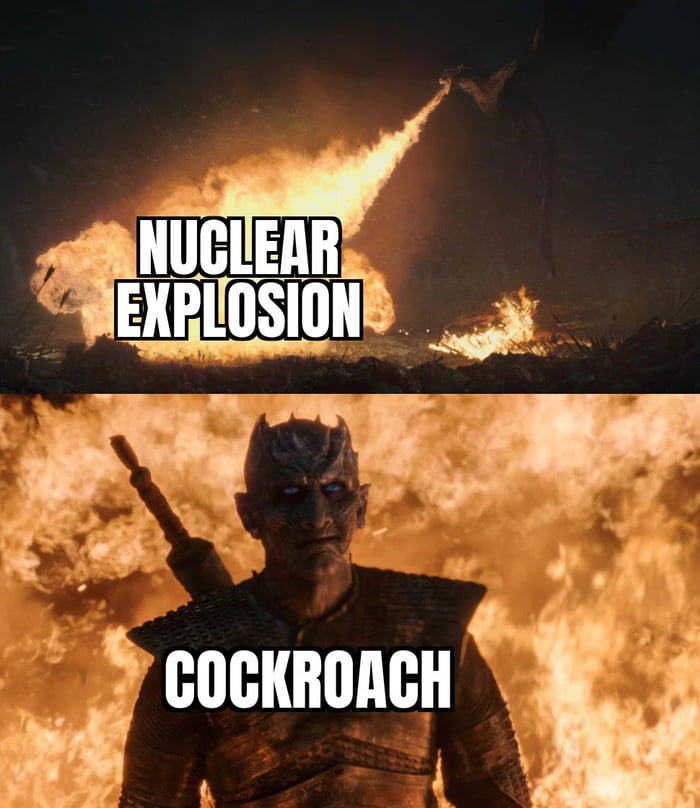 Cockroach - 9GAG