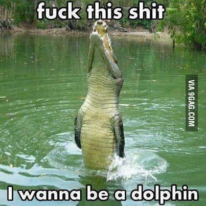 Croco Dolphin - 9GAG