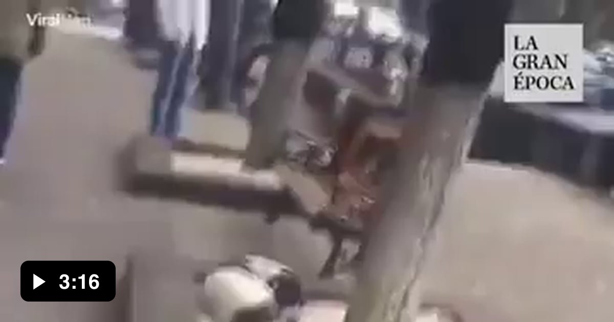 Man finds his dog after 3 years lost, the dogs are amazing, they are ...
