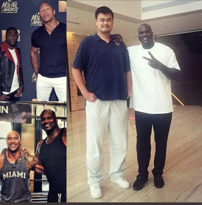 The Stone, The Rock, The Mountain and then there is Yao Ming - 9GAG