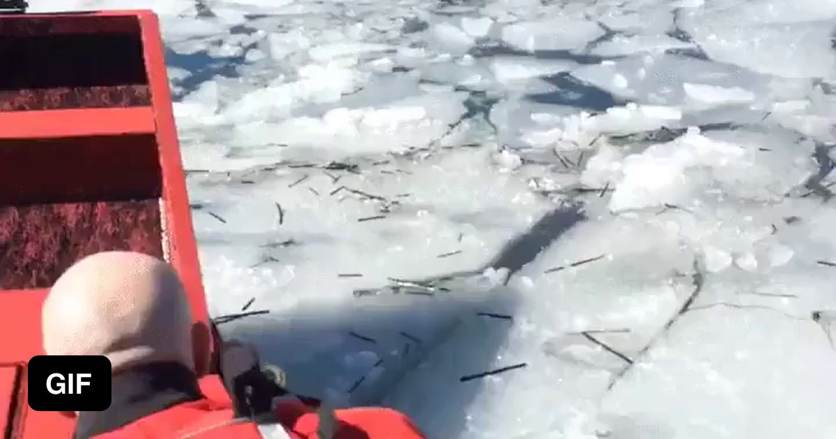 Dog Rescued at Deer Creek Reservoir, Utah - 9GAG