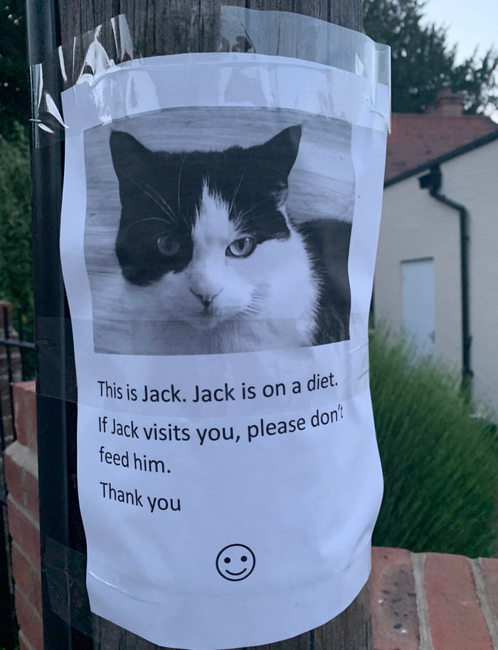 so-jack-has-run-away-from-home-who-d-have-thought-it-9gag