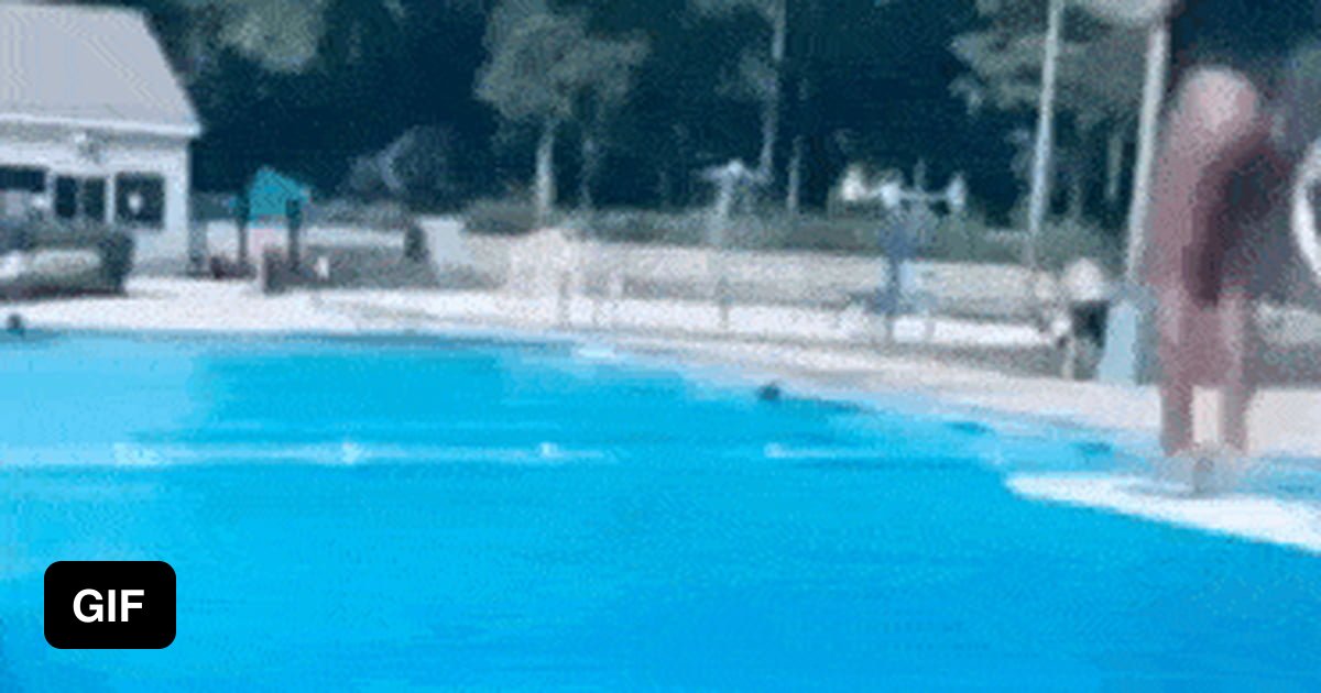 Going to the pool and don't expect that ? ... - 9GAG