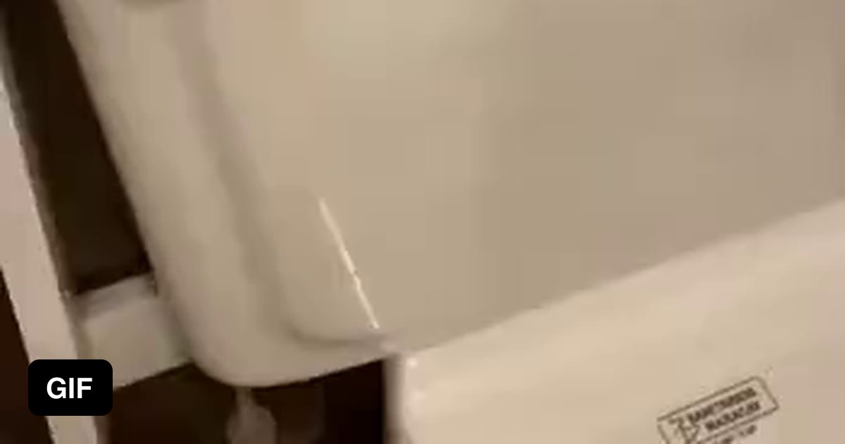 If it's brown, flush it down 9GAG