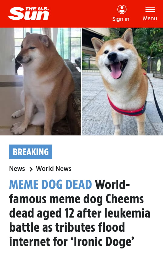 Am not crying, is raining outside. Thanks for the laughs good dogo. - 9GAG