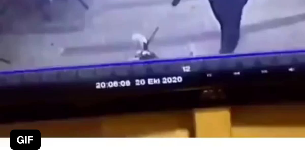 One hell of a crazy cat - 9GAG