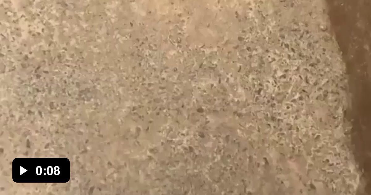 Only Stand users can see another Stands 9GAG