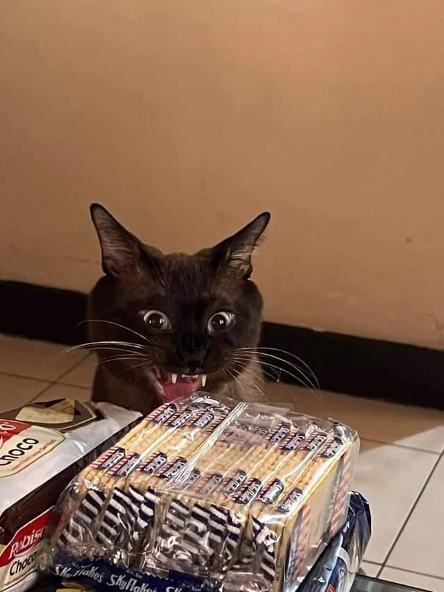 Hes happy - 9GAG