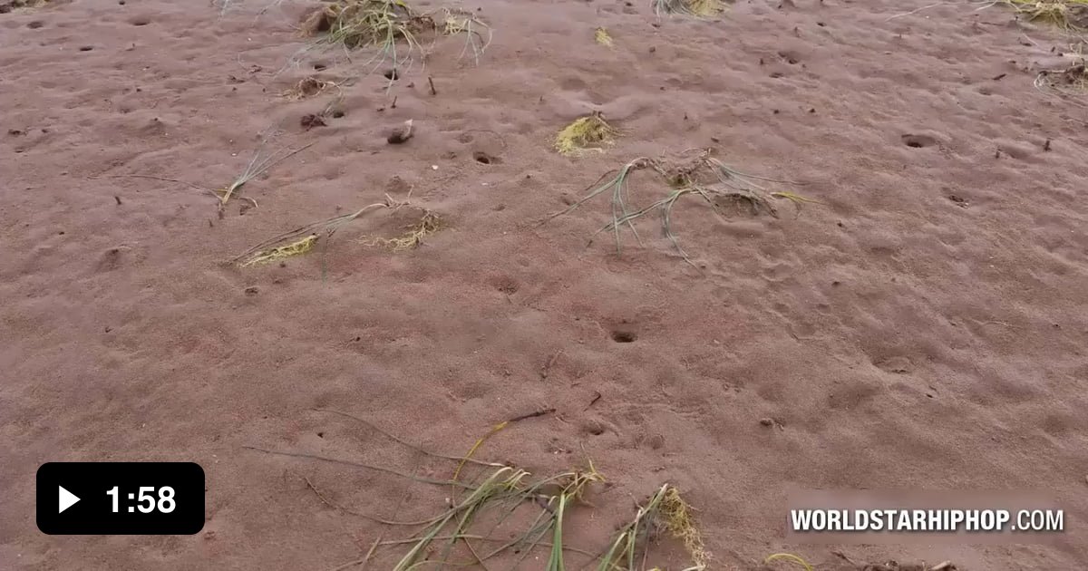 What Happens When You Pour Salt Water In To These Sand Holes! 9GAG