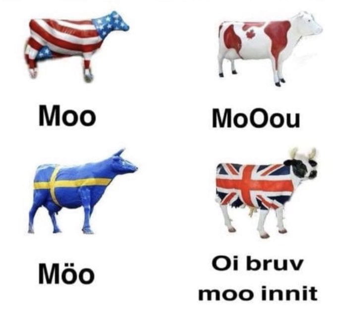 How do cows moo in your language? - 9GAG