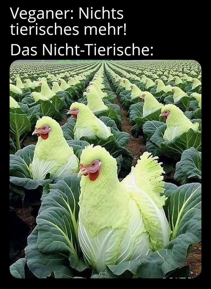 Mimikry rockt! - 9GAG