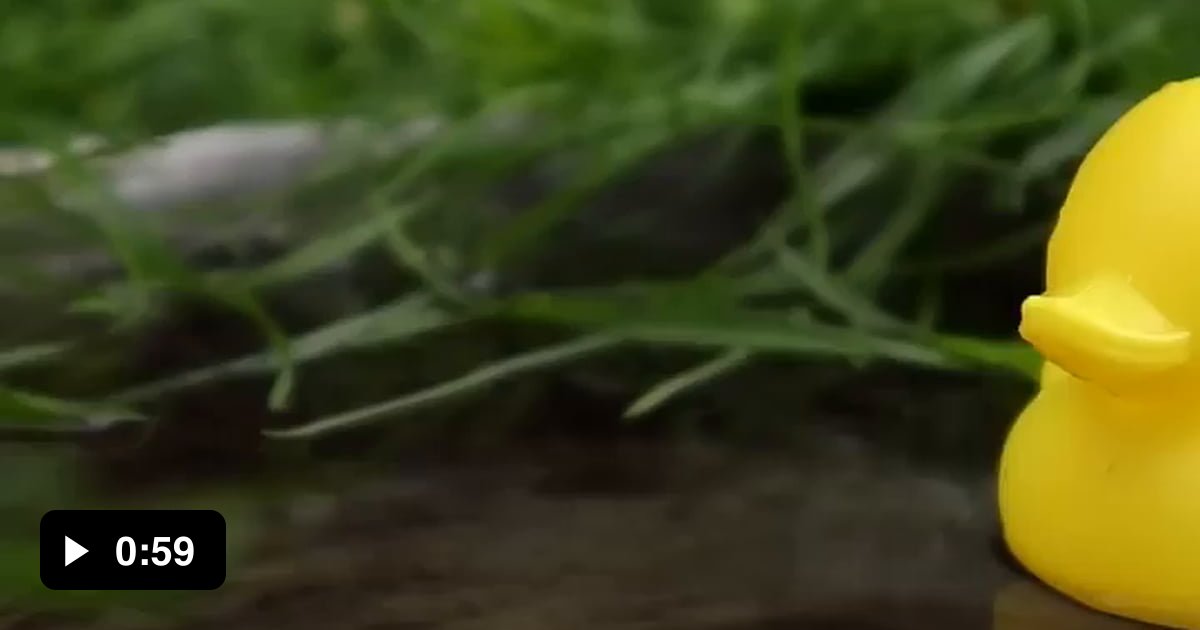 Casting a rubber duck into a bronze one 9GAG