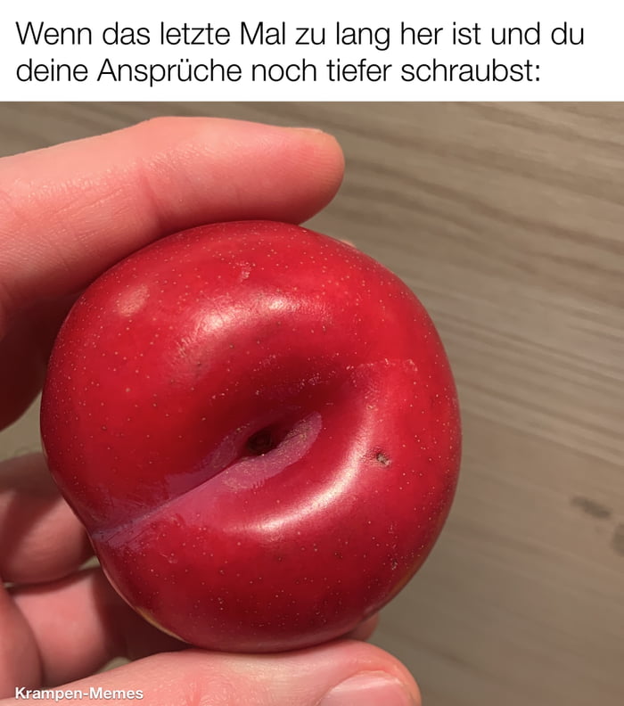Die Hagebutten sind raffiniert, die nehmen die Kohle an! - 9GAG