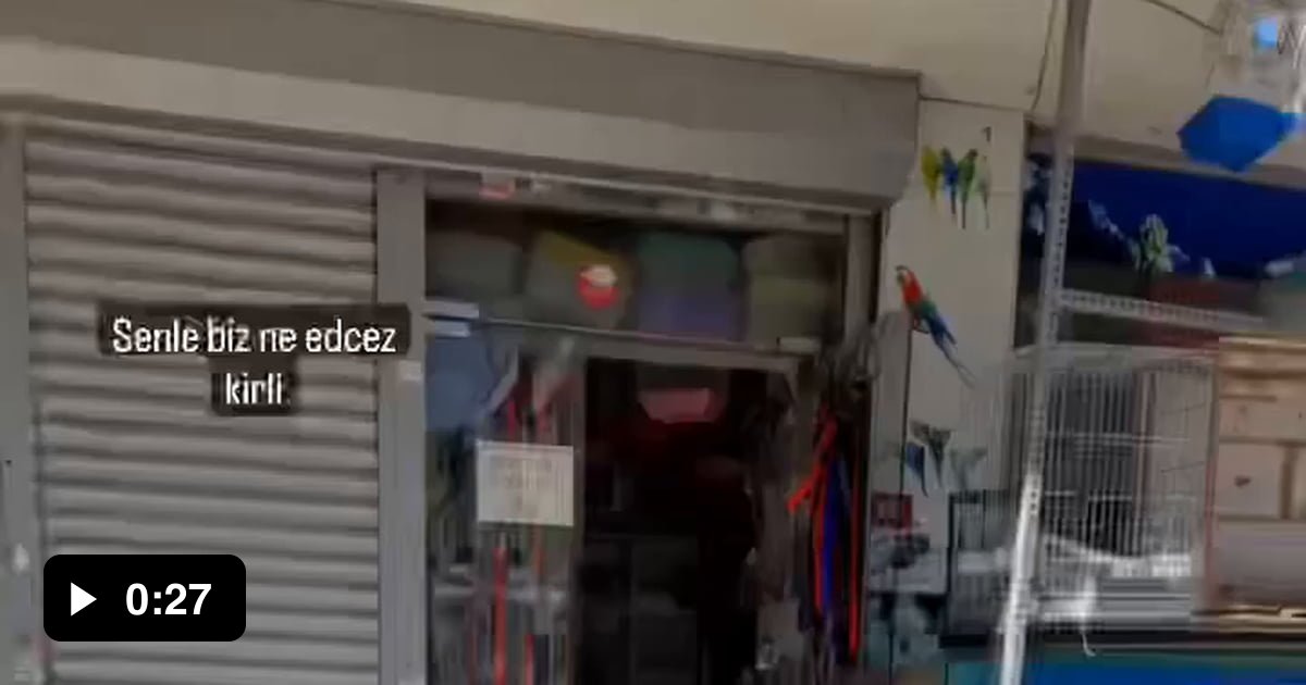 Turkish man's cat keeps getting into street fights 9GAG