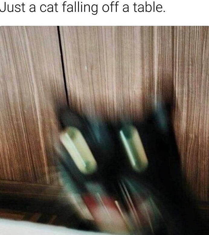 Just a cat falling off a table