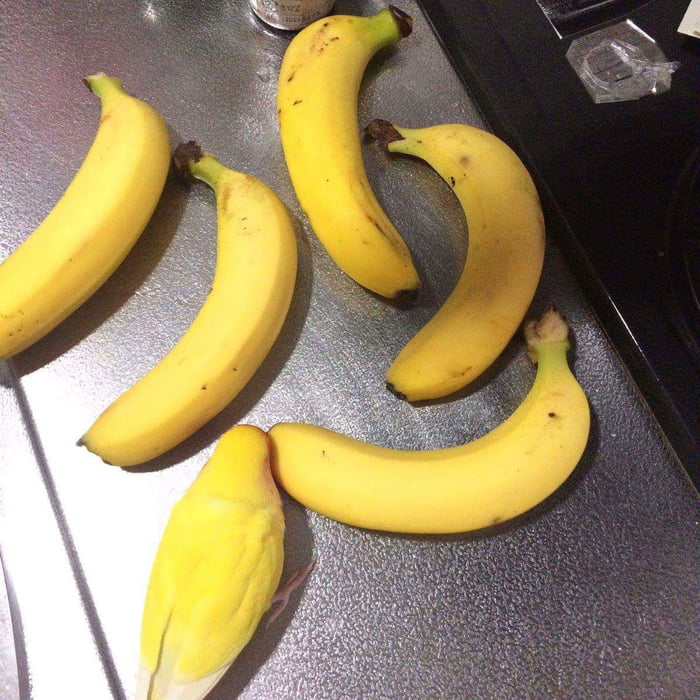 Just some banana, keep scrolling - 9GAG