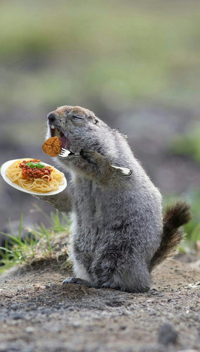 When you some kind of squirrel but pasta is life. 9GAG